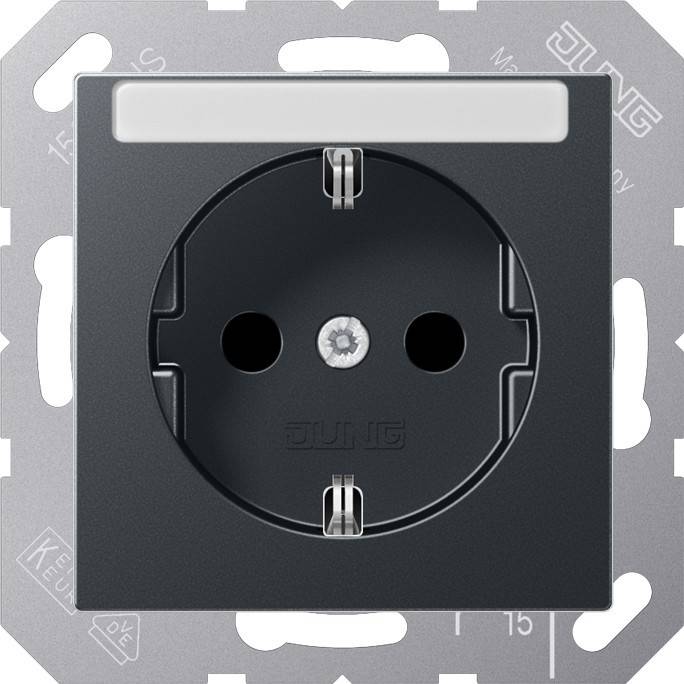 Jung SCHUKO Steckdose A 1520 BFKINA ANM