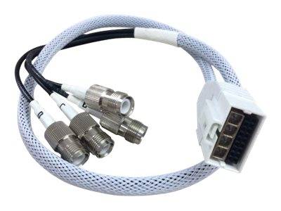 Cisco - Antennenkabel - RP-TNC bis RF Stecker DART - 61 cm - Koax - für Aironet 2802E, 2802E (Config)