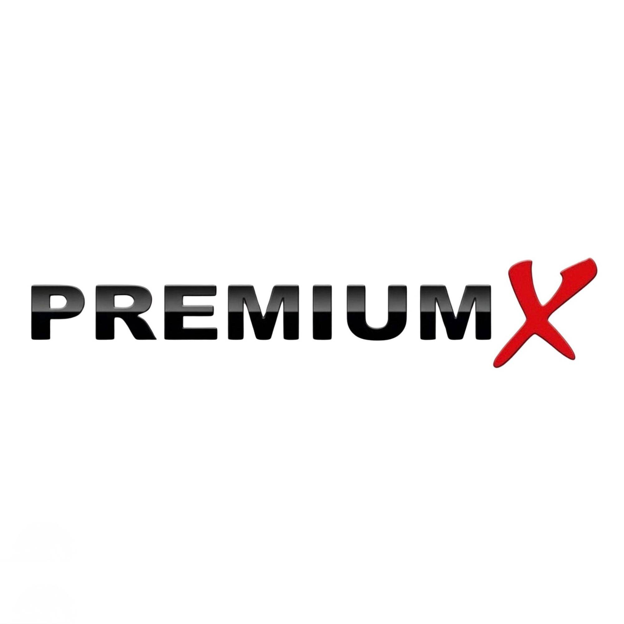 PremiumX 60cm Wandhalter Aluminium mit Stützelement – SAT Wandhalterung, Ausleger 600 mm, Höhe 300 mm, Grundplatte 400×200 mm