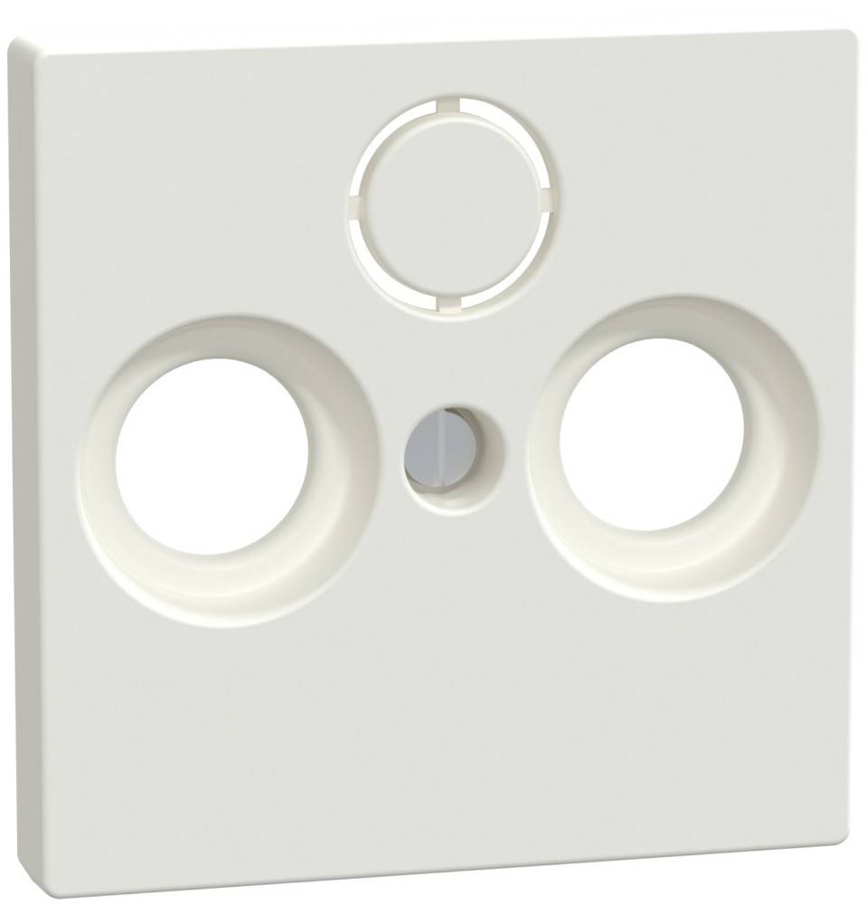 Merten Zentralplatte pws/gl 296719