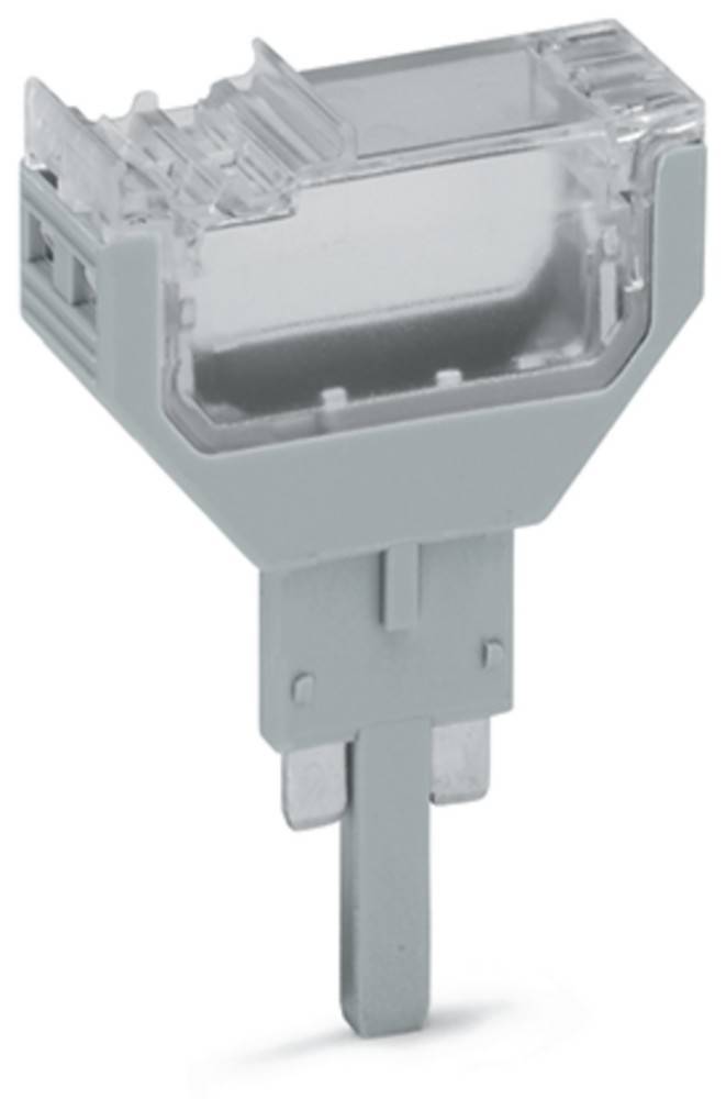 Eine Nahaufnahme eines USB-Anschlusses an einem Computer, die das detaillierte Design und die Struktur des Anschlusses ohne eingesteckte Kabel zeigt.