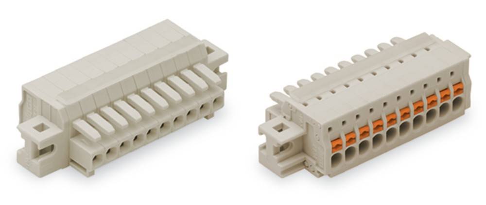 Zwei beige Elektro-Anschlussklemmen mit mehreren Anschlusspunkten auf einem weißen Hintergrund.