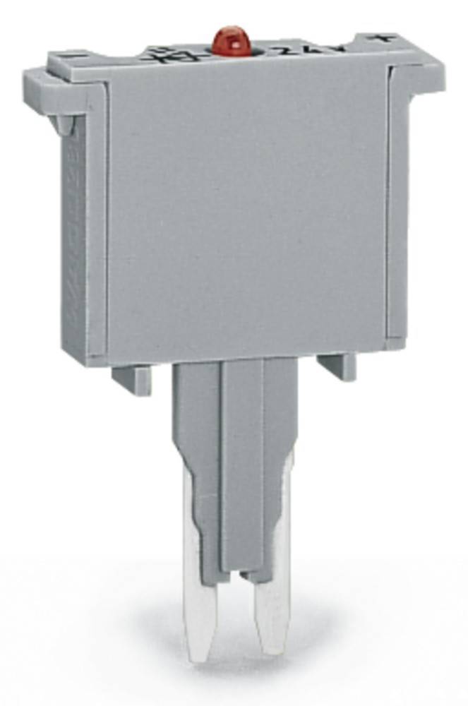 Eine Nahaufnahme eines grauen, rechteckigen elektrischen Steckers oder Anschlusses mit zwei Stiften, vor einem weißen Hintergrund.