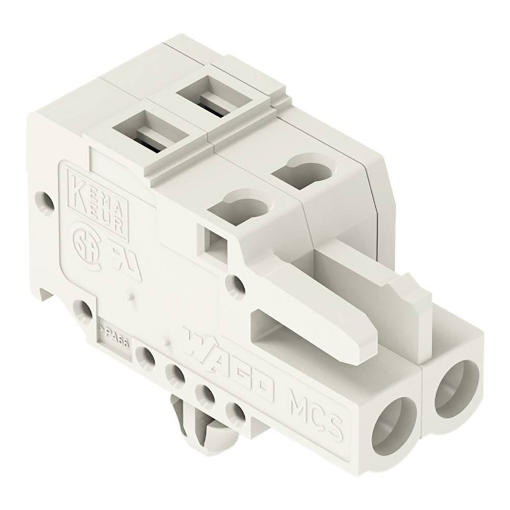 Ein weißer elektrischer Anschlussblock mit zwei Drahteintrittspunkten und der Beschriftung 