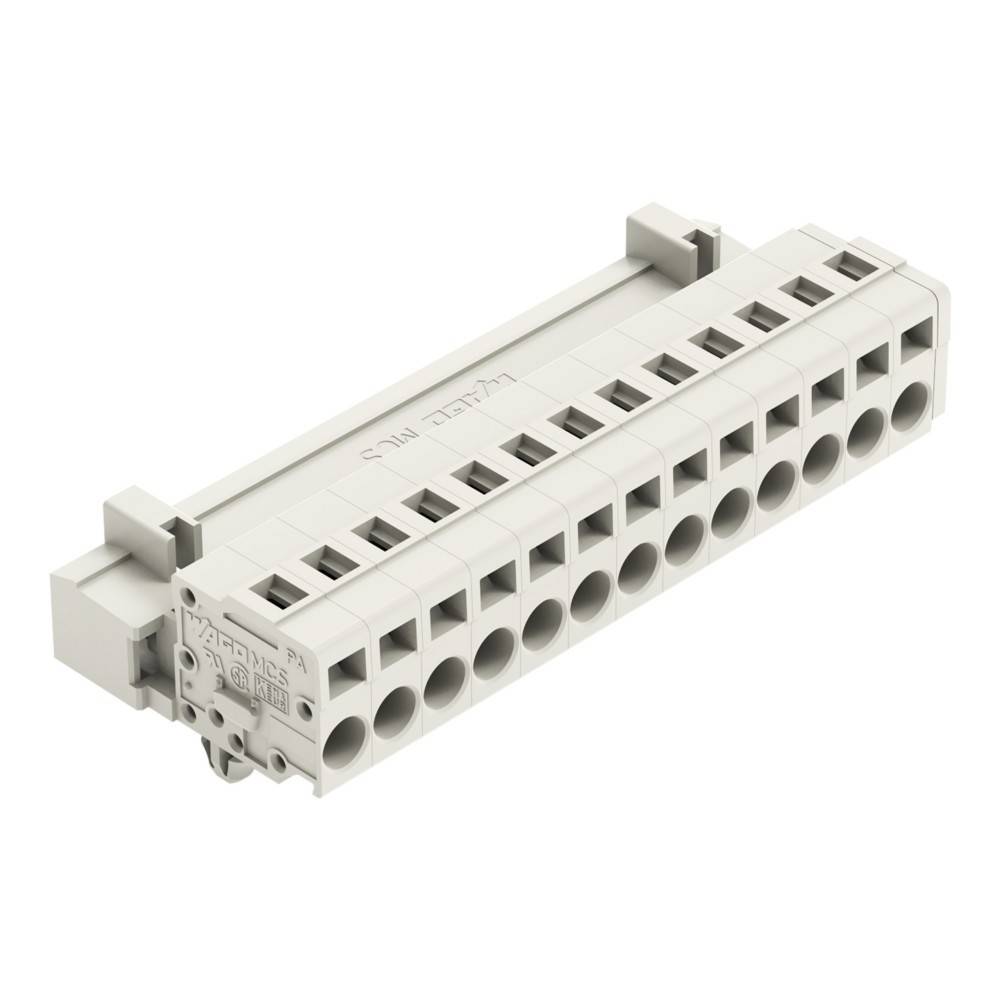WAGO 18-Pin-Anschlussblock-Modul, grau, konzipiert für elektrische Verbindungen. Geeignet für sichere Verdrahtungsabschlüsse in Steuerungstafel.