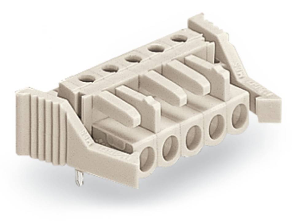 Fünf-Pin-Klemmleistenverbinder, beige, mit Schraubkontakten und seitlichen Befestigungen für sichere elektrische Verbindungen.