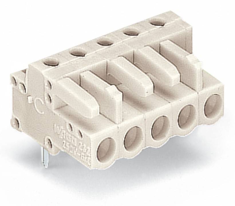 Beiger Terminalblock mit fünf Anschlussports und Metallstiften, beschriftet mit '450V' und '250V'. Wird für elektrische Verdrahtungsverbindungen verwendet.