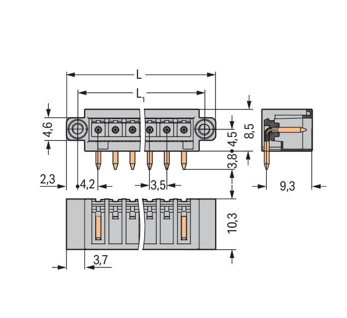 Technische Zeichnung eines elektrischen Anschlusses mit beschrifteten Abmessungen, die Höhen, Breiten und Details der Stift- und Buchsenpositionierung zeigt.