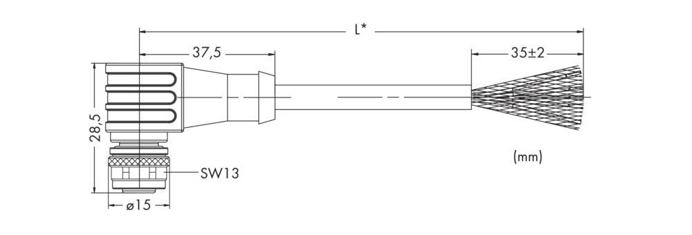 Technische Zeichnung eines zylindrischen Objekts mit einem nach links hervorstehenden Rechteck. Beschriftung 'L*' über einer horizontalen Linie. Zahlen '3' und '2' vermerkt.