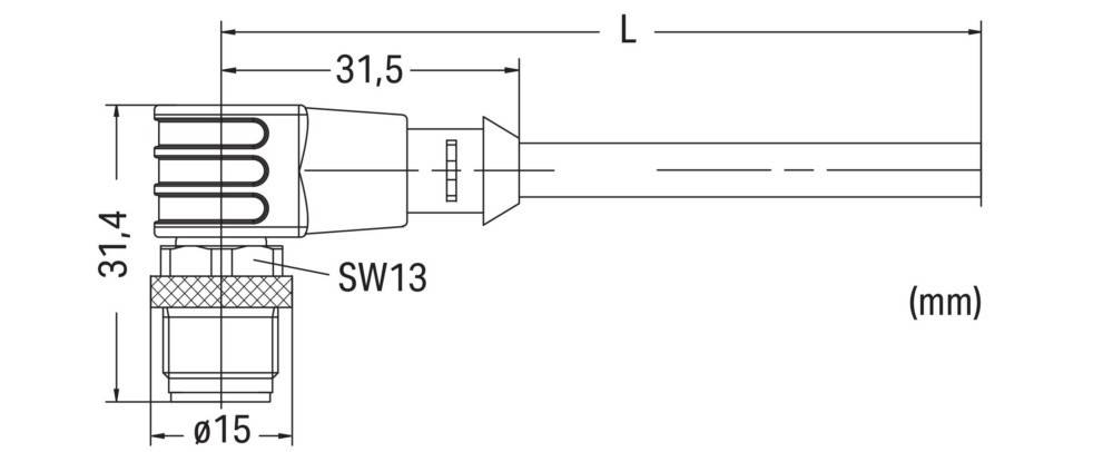 Diagramm eines Bolzens mit Maßangaben. Beschriftung 'SW13' bezieht sich auf eine Schlüsselweite von 13 mm, und '31.5' gibt die Länge in Millimetern an.