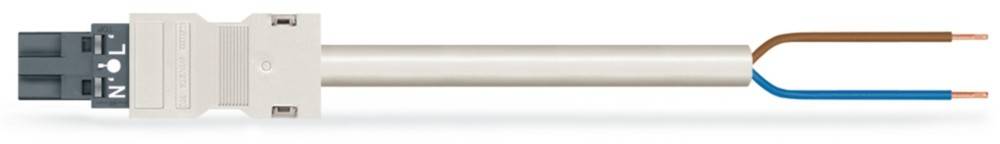 WAGO GmbH & Co. KG konfekt. Anschlussleitung 771-8982/217-704