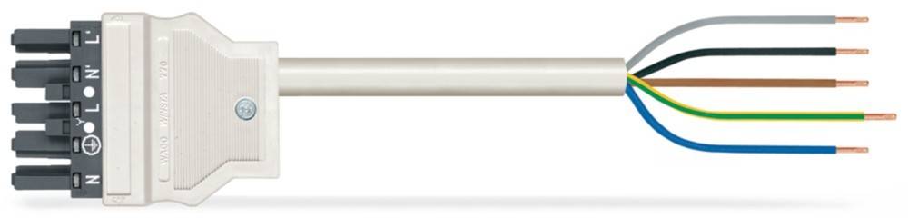 WAGO GmbH & Co. KG konfekt. Anschlussleitung 771-8985/107-604
