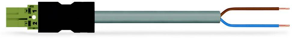 WAGO GmbH & Co. KG konfekt. Anschlussleitung 771-8292/215-605