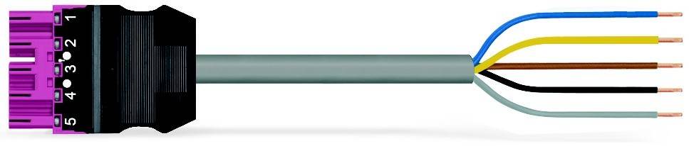 WAGO GmbH & Co. KG konfekt. Anschlussleitung 771-9995/205-107