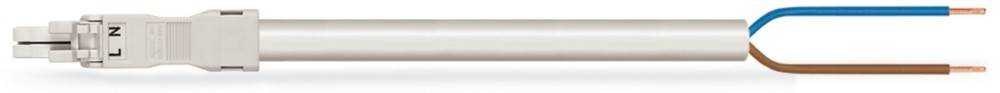 WAGO GmbH & Co. KG konfekt. Anschlussleitung 891-8992/106-302