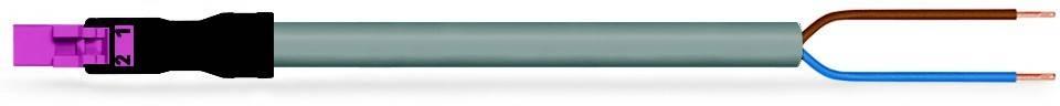 WAGO GmbH & Co. KG konfekt. Anschlussleitung 891-8992/206-507