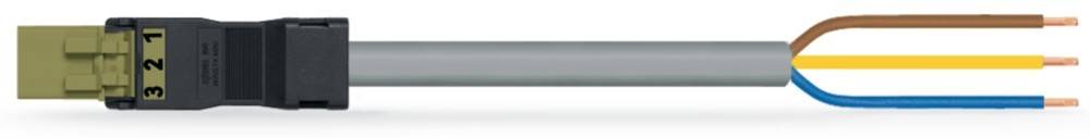 WAGO GmbH & Co. KG konfekt. Anschlussleitung 891-8993/206-605