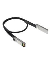 Schwarzes Ethernet-Netzwerkkabel mit Metallsteckern an beiden Enden, vor weißem Hintergrund dargestellt.