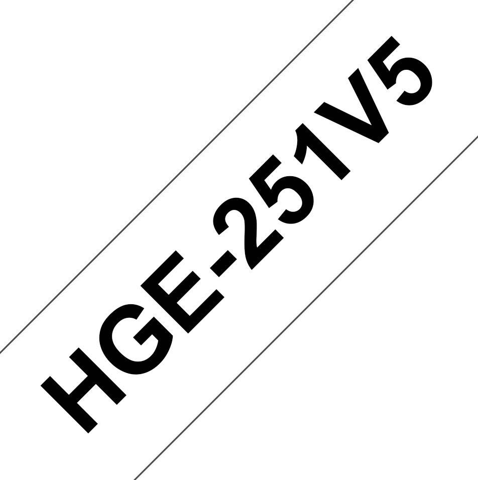 Beschriftung mit HGE-251 V5 diagonal über einem weißen Hintergrund.