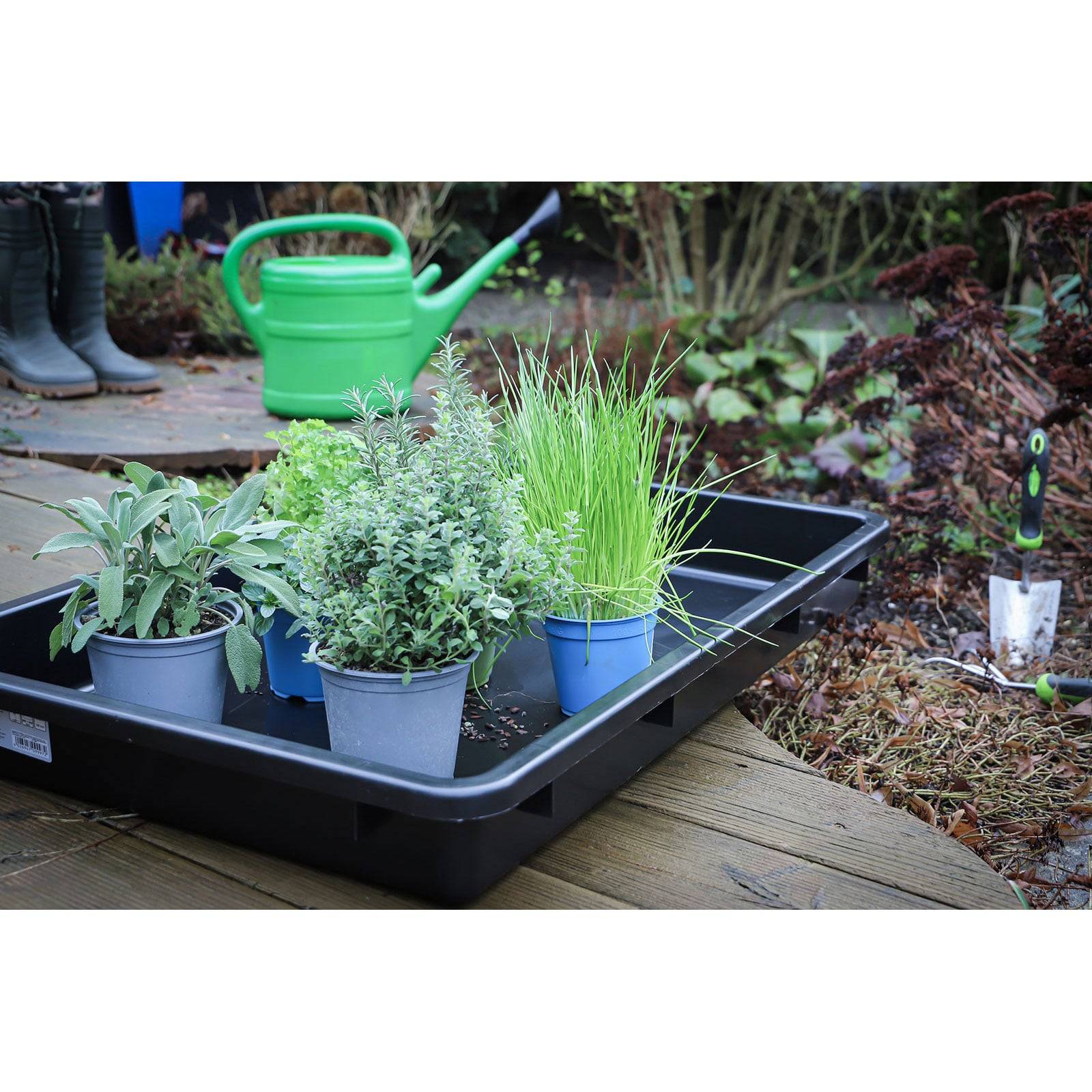 Ein schwarzes Tablett auf einem Holzdeck hält kleine Töpfchen mit Pflanzen, darunter Kräuter und Gras. In der Nähe befinden sich eine grüne Gießkanne und eine kleine Gartenschaufel.