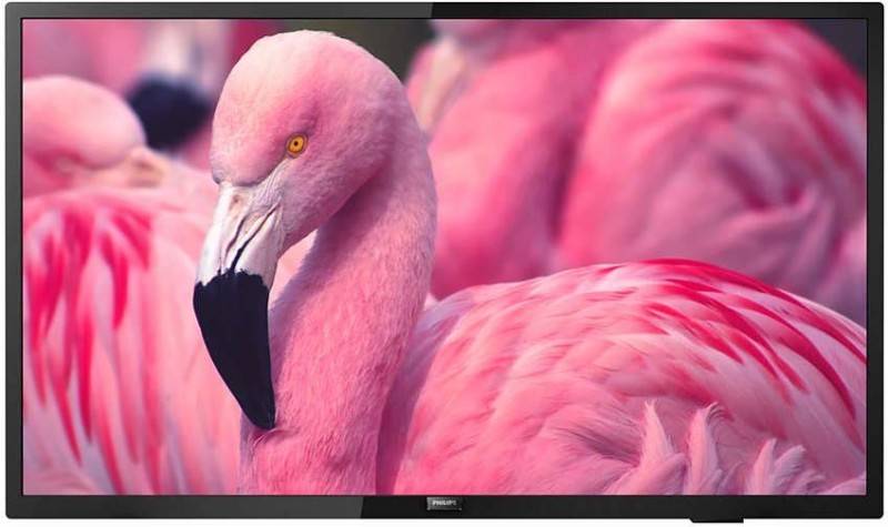 Philips Hotel-LED-TV m.DVB-T2/C 43HFL4014/12