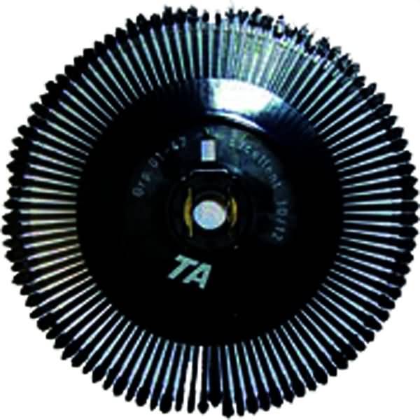 Plus Typenrad Lether Gothic 10