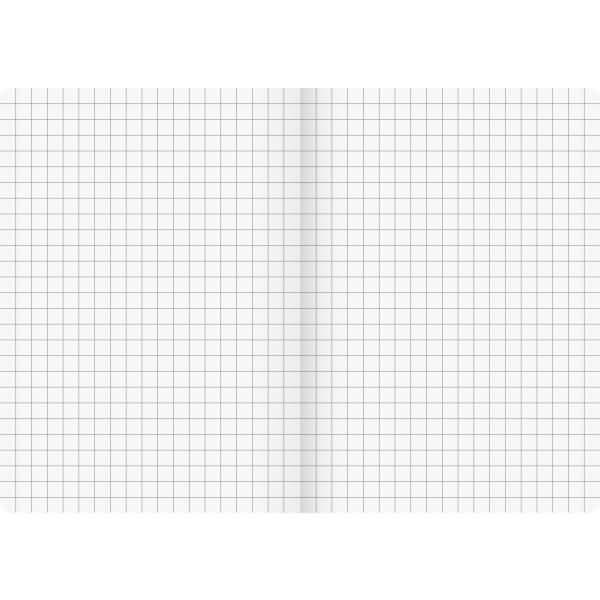 Kladde Fact!plus A5 kariert 96 Blatt 90g/qm Karton-Einband flexibel Gummizugverschluß braun