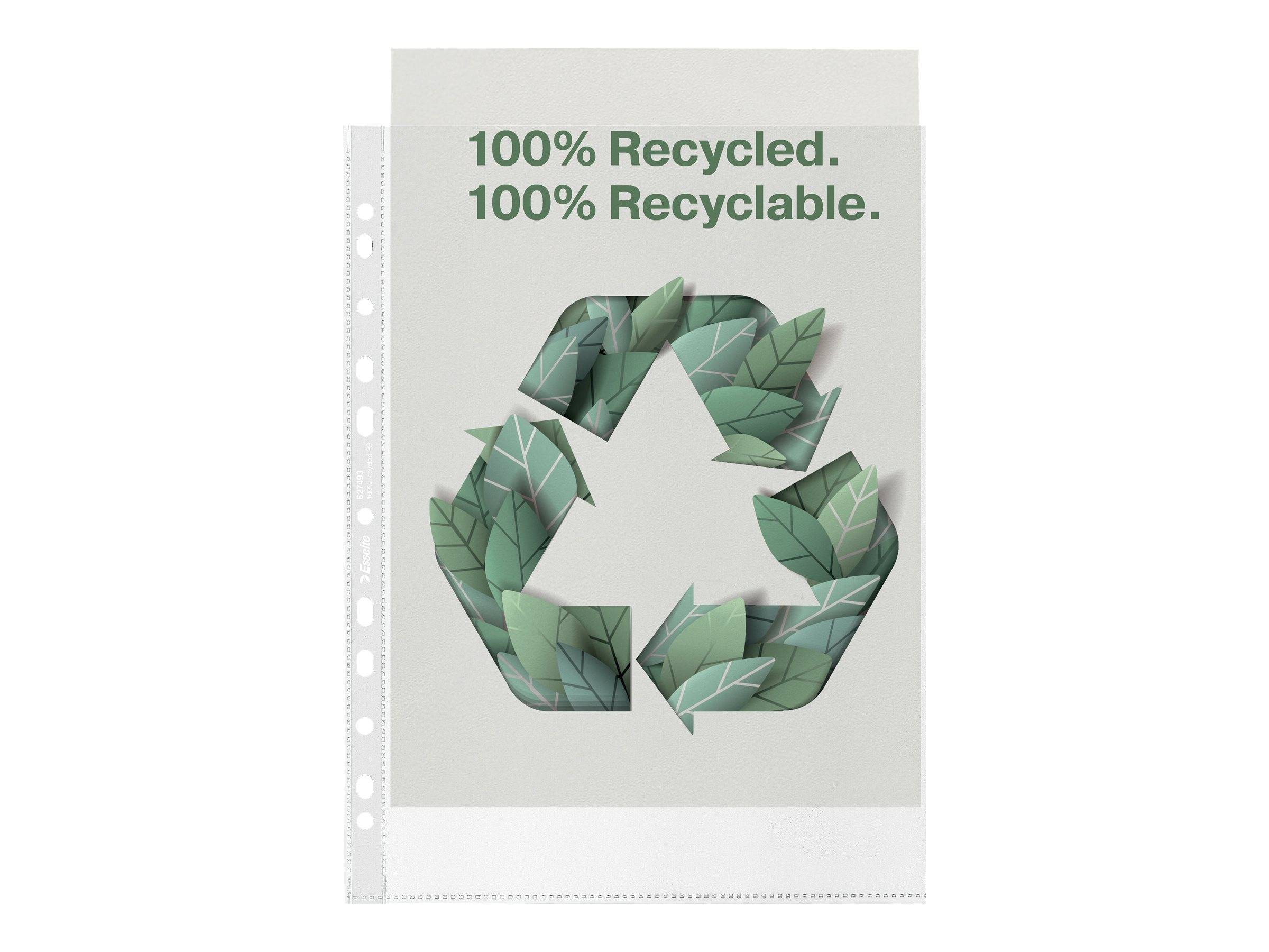 Esselte Leitz Schutzhülle - für A4 (210 x 297 mm) (Packung mit 100)