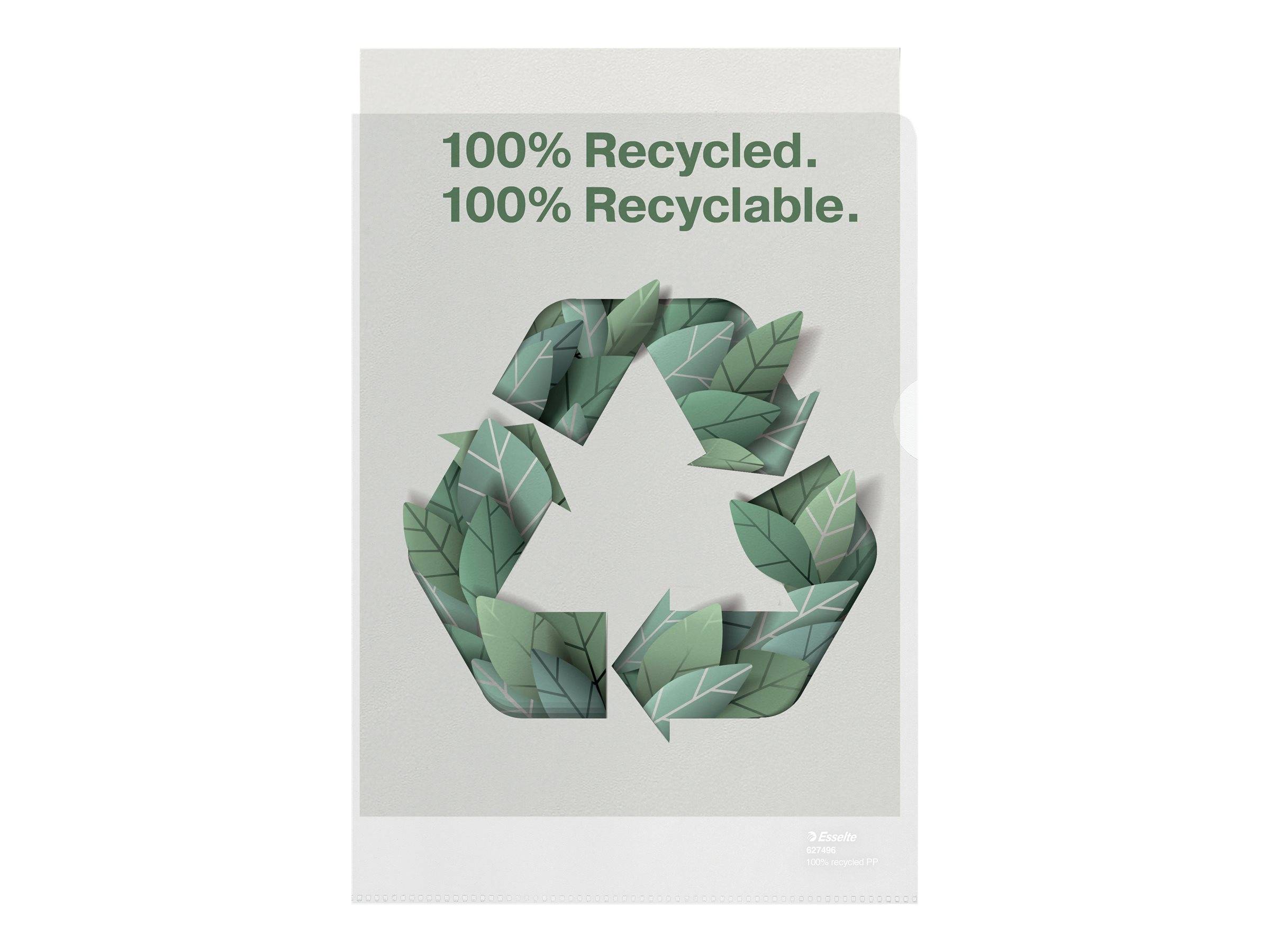 ESSELTE LEITZ - Esselte De Luxe - L-förmiger Ordner - für A4 (210 x 297 mm)