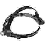 Brennenstuhl 1177300, Stirnband-Taschenlampe, Schwarz, Kunststoff, Tasten, IP44, LED