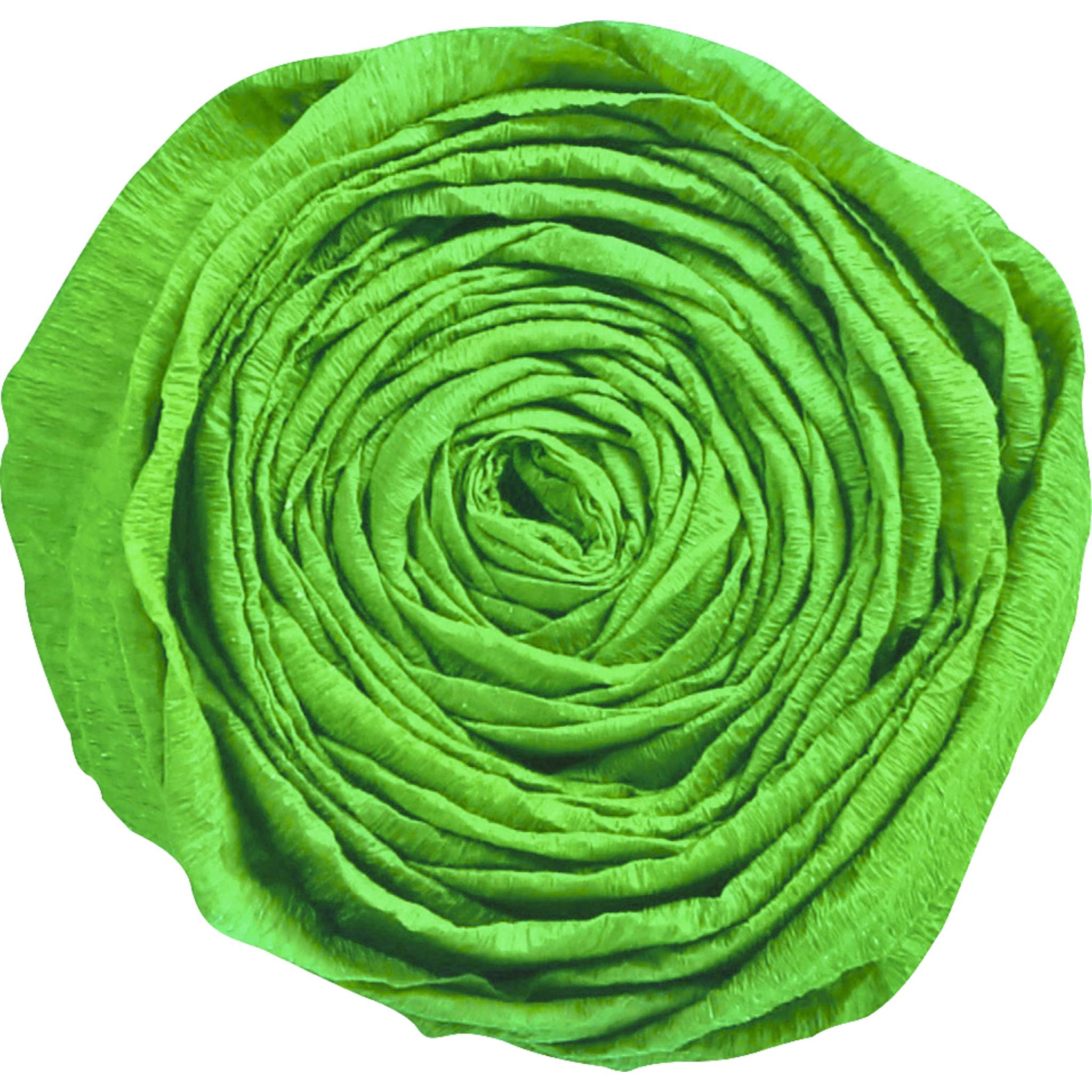 Clairefontaine Krepppapier Pack. 10 Bogen gefaltet 2mx0,50m Imperialgrün 901050C