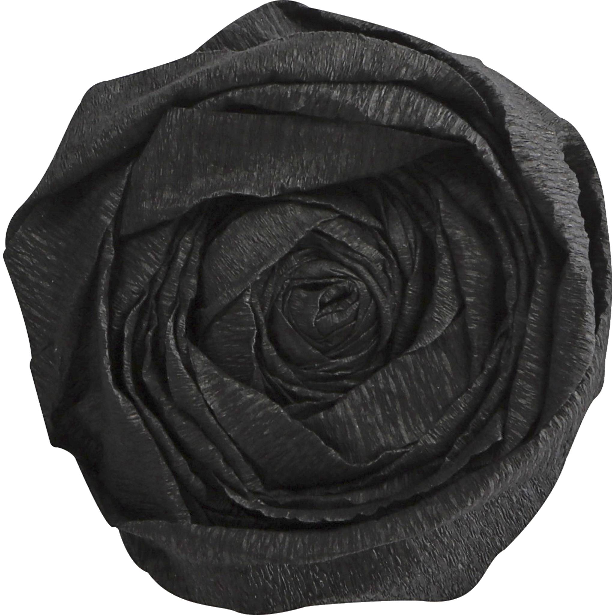 Clairefontaine Krepppapier, Pack. 10 Bogen gefaltet 2mx0,50m Schwarz 901029C