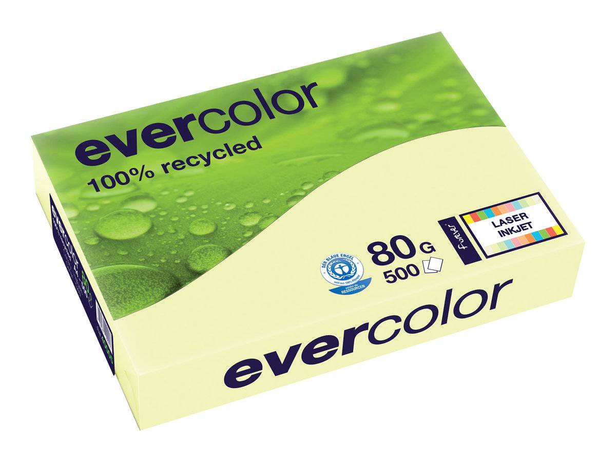 EXACOMPTA - Clairefontaine Evercolor - Kanariengelb - A4 (210 x 297 mm)