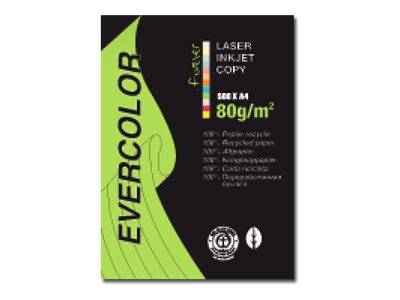 EXACOMPTA - Clairefontaine Forever Evercolor - Hellgrün - A4 (210 x 297 mm)