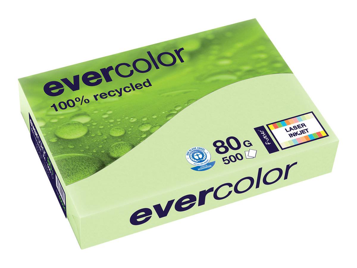 EXACOMPTA - Clairefontaine Evercolor - Hellgrün - A4 (210 x 297 mm)