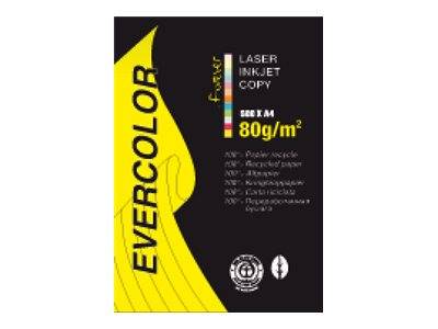 EXACOMPTA - Clairefontaine Forever Evercolor - Gelb - A4 (210 x 297 mm)