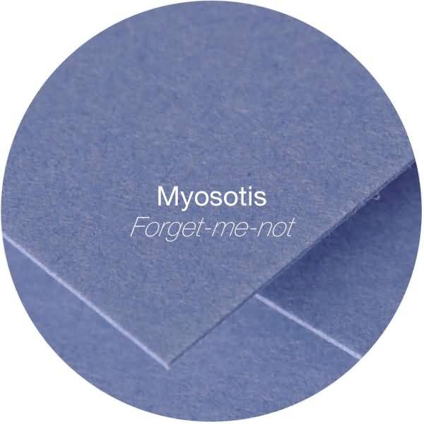 Papier Pollen A4 120g 50 Blatt vergissmeinnicht