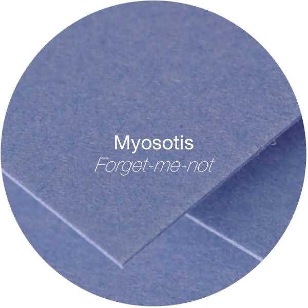 Doppelkarte Pollen C6 210g VE=25 Stück vergissmeinnicht