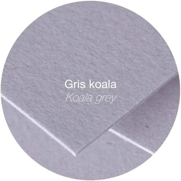 Doppelkarte Pollen DINlang 210g VE=25 Stück koalagrau