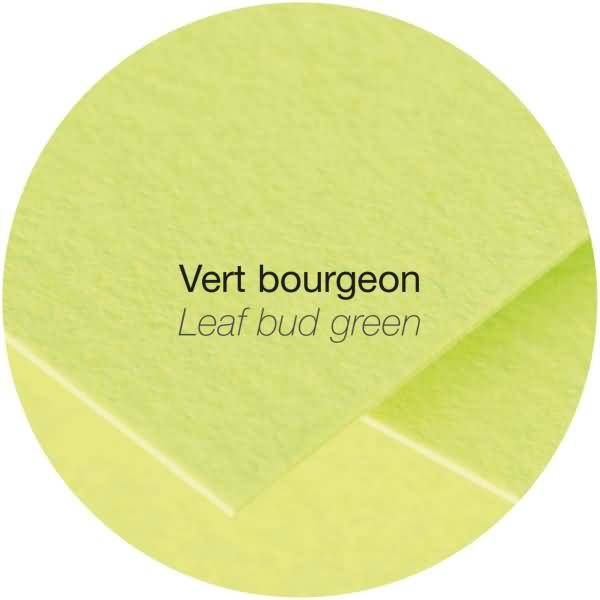 Doppelkarte Pollen DINlang 210g VE=25 Stück knospengrün