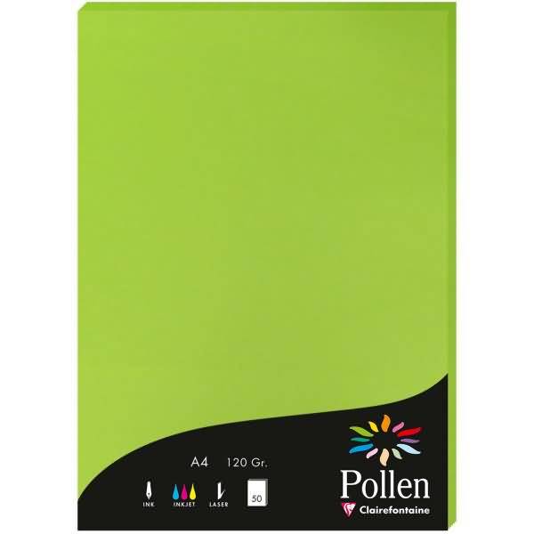 Papier Pollen A4 120g 50 Blatt minze