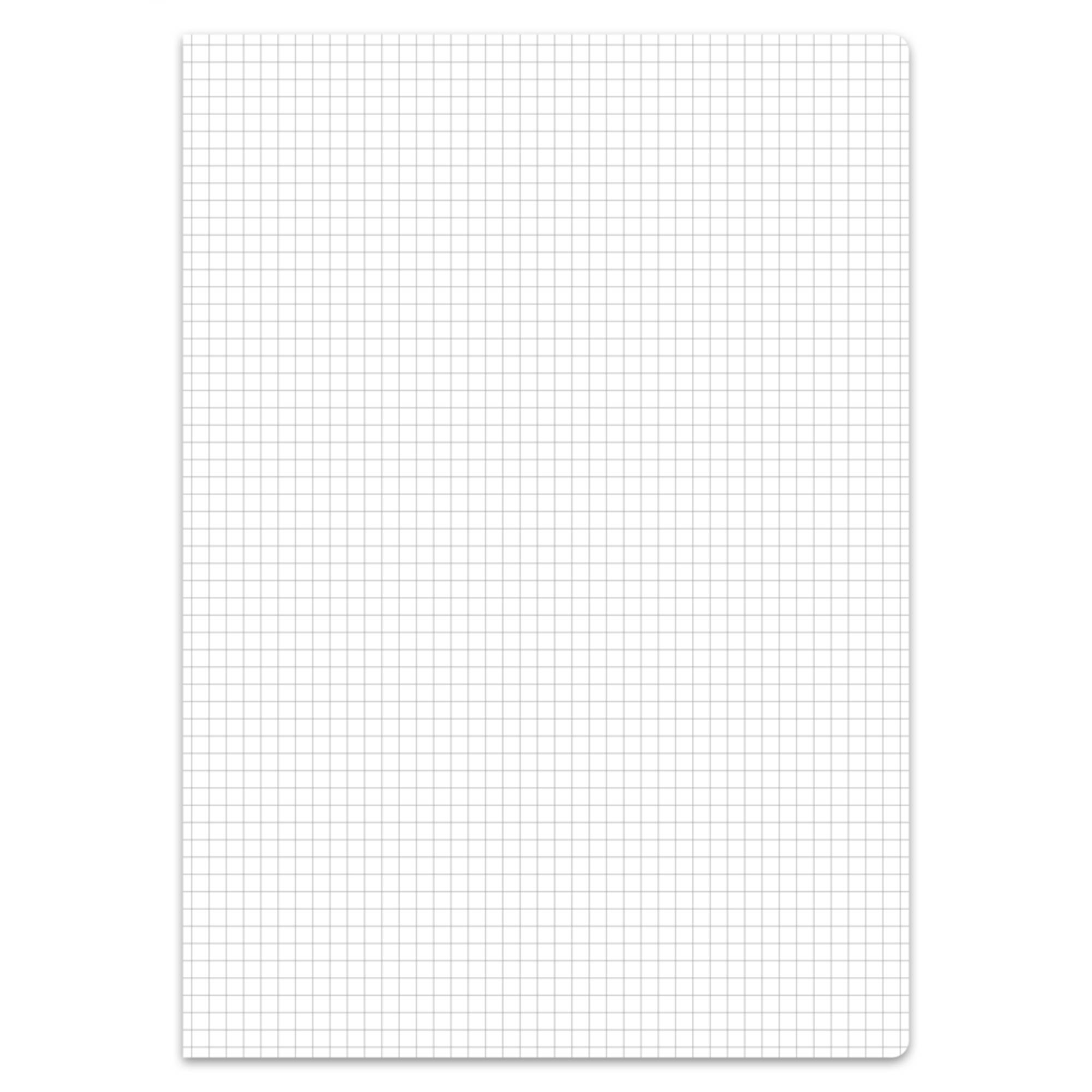 Staufen Schulheft Premio 040784022 A4 90g 32Bl Lin22 kar