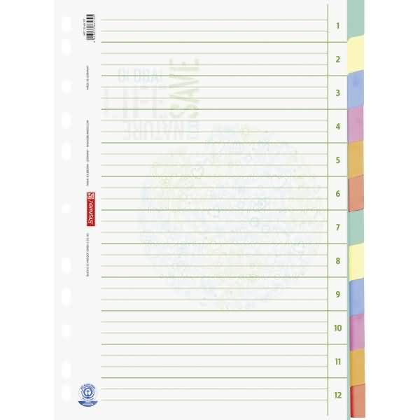 Register A4 12-teilig Karton blanko grau farbige Taben