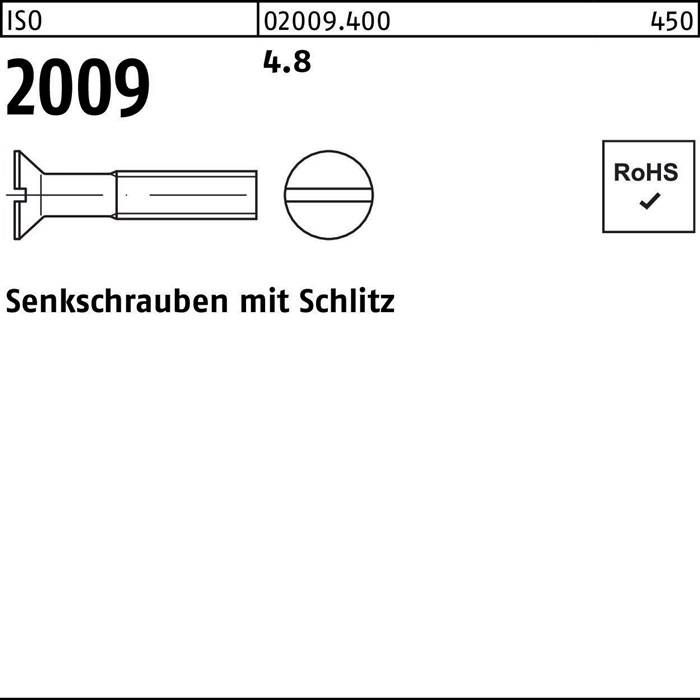 Eine technische Zeichnung einer Schlitzgewindestift mit den Bezeichnungen 'ISO 2009', '4.8' und 'RoHS'.