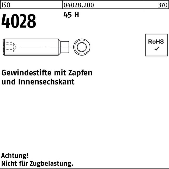 Achse mit Zapfen 4028 45 H' mit Sechskantsform. Text: 'Gewindestifte mit Zapfen und Innensechskant. Achtung! Nicht für Zugbelastung.' RoHS-Prüfzeichen.