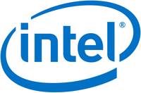 Intel Remote Management Module 4 Lite 2 - Fernverwaltungsadapter