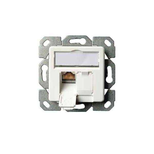 Telegärtner AMJ45 8/8 Up/50 100022955