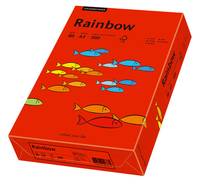 Rote „Rainbow"-Produktbox mit farbenfrohen Fischillustrationen auf hellorangefarbenem Hintergrund.