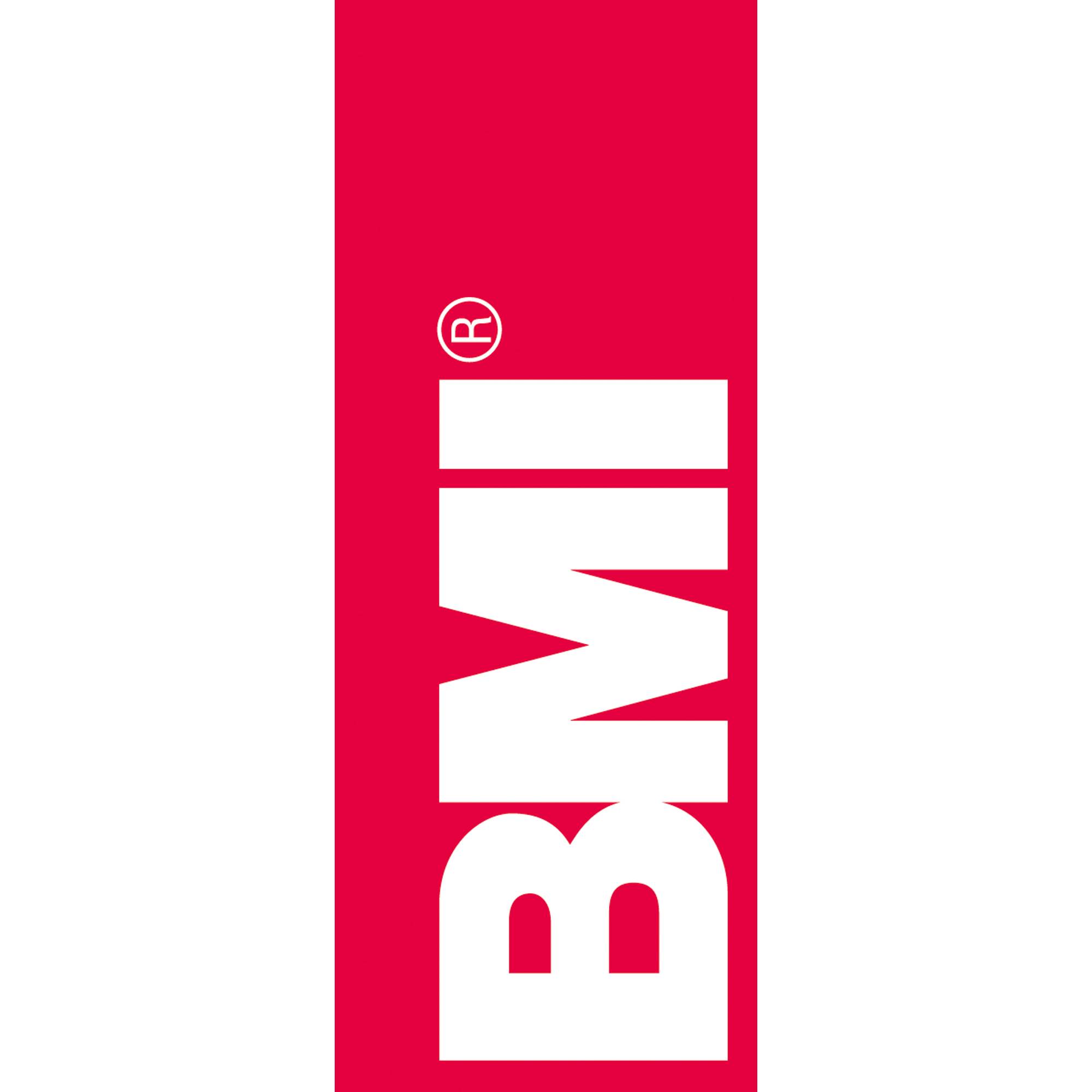 BMI Maßstab 963050030 0,5m Edelstahl