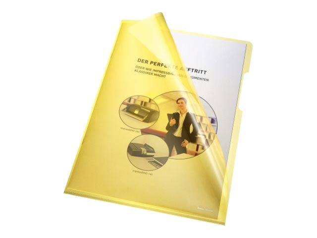 ESSELTE LEITZ - bene - L-förmiger Ordner - für A4 - durchsichtig